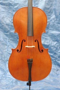 Cello, Wolfram Ries, Halle 2015