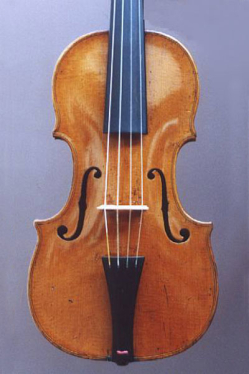 Violino Piccolo, Johann Friedrich Hoyer, 1783